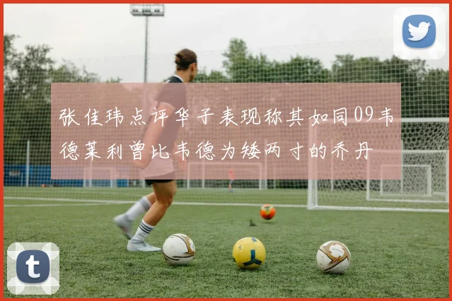 张佳玮点评华子表现称其如同09韦德莱利曾比韦德为矮两寸的乔丹