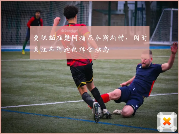 曼联瞄准楚阿梅尼和斯科特，同时关注布阿迪的转会动态