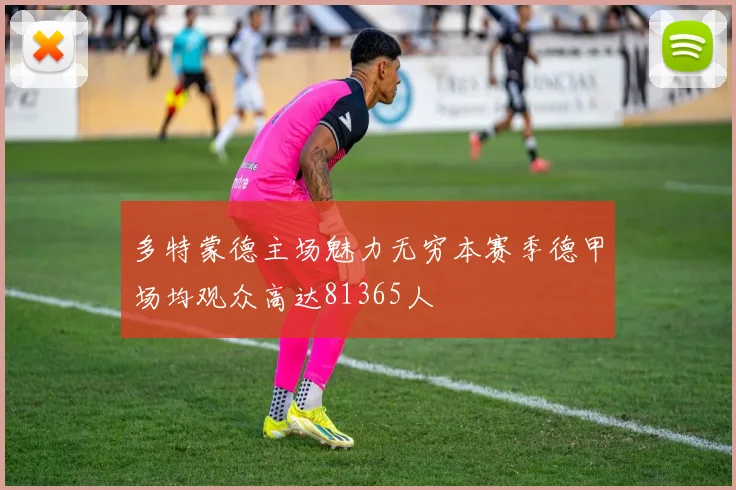 多特蒙德主场魅力无穷本赛季德甲场均观众高达81365人